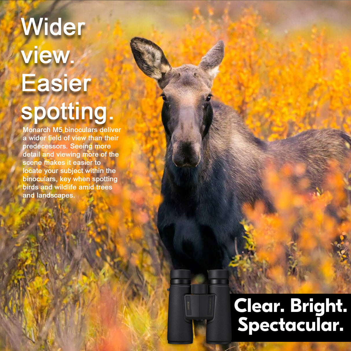 Nikon Monarch M5 8x42 Binoculars with Shoulder Bag, Lens Cleaning Pen, and Microfiber Cloth Bundle