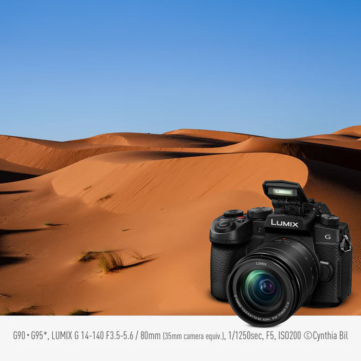 Panasonic LUMIX G97 Micro Four Thirds Mirrorless Camera (Black) with Gadget Bag and 64GB Card Bundle