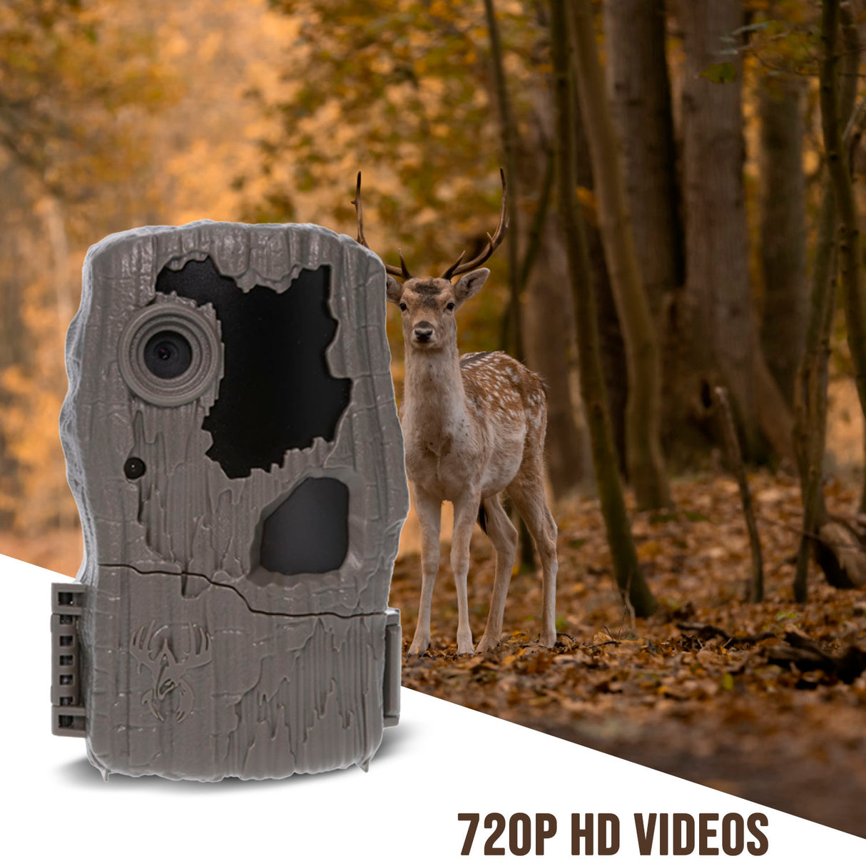 Wildgame Innovations Spark 2.0 Combo Lightsout 18MP Trail Camera with 70-Feet Detection Range Bundle