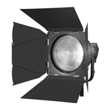Godox Barndoors for FLS10 Lens with Beam Cutting, Light Control, and Light Spill Prevention (Black)