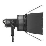 Godox Barndoors for FLS10 Lens with Beam Cutting, Light Control, and Light Spill Prevention (Black)