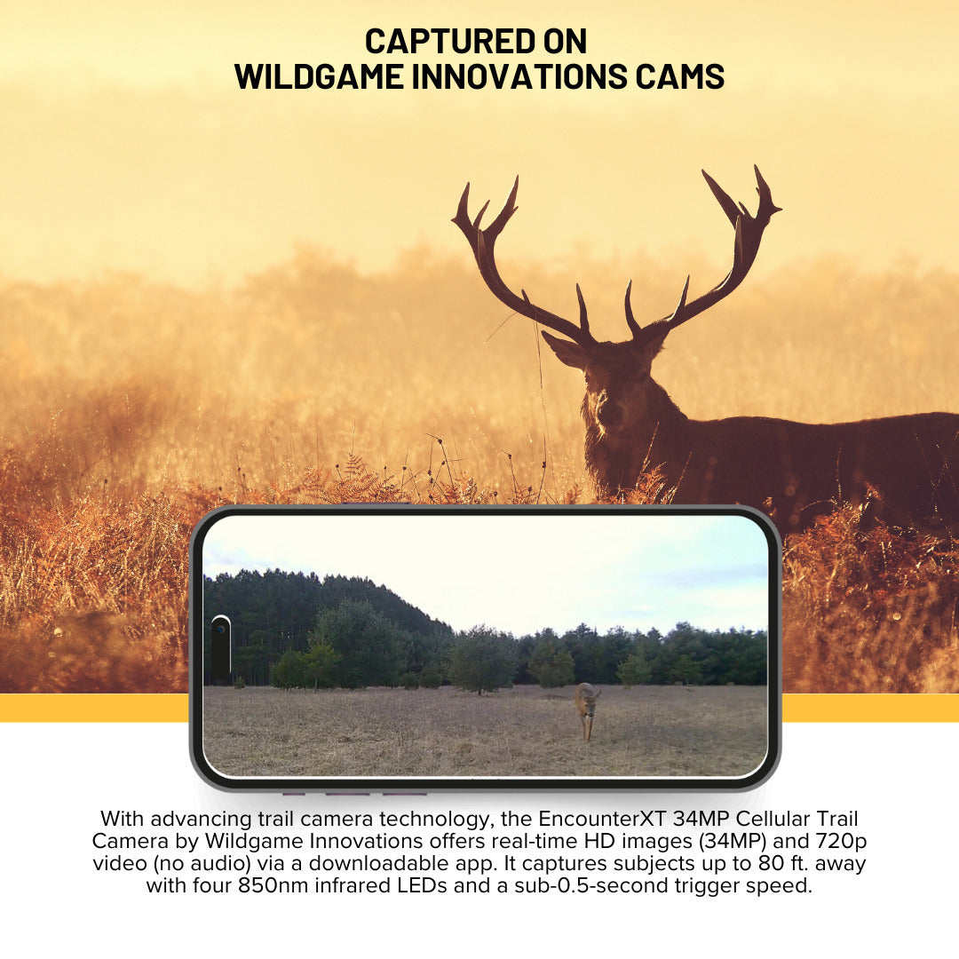 Wildgame Innovations Encounter XT Cellular 26MP Trail Camera with 720p Video Capture Bundle