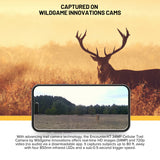 Wildgame Innovations Encounter XT Cellular 26MP Trail Camera with 720p Video Capture Bundle