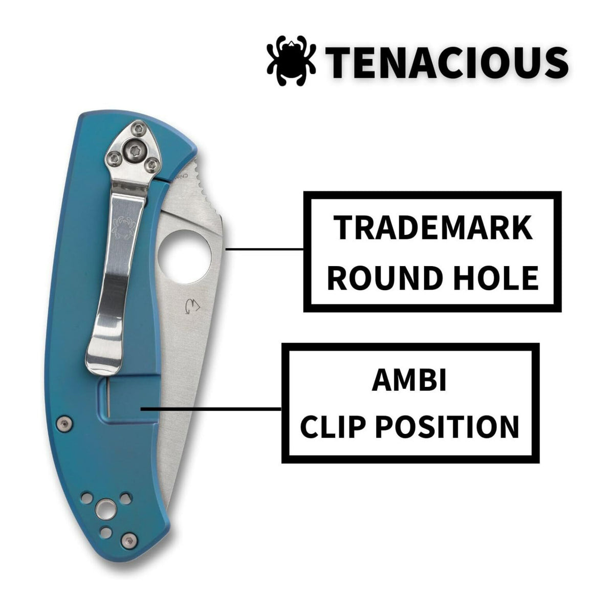 Spyderco Tenacious PlainEdge Folding Pocket Knife with 3.35 Inch 8Cr13MoV Blade (Open Box)