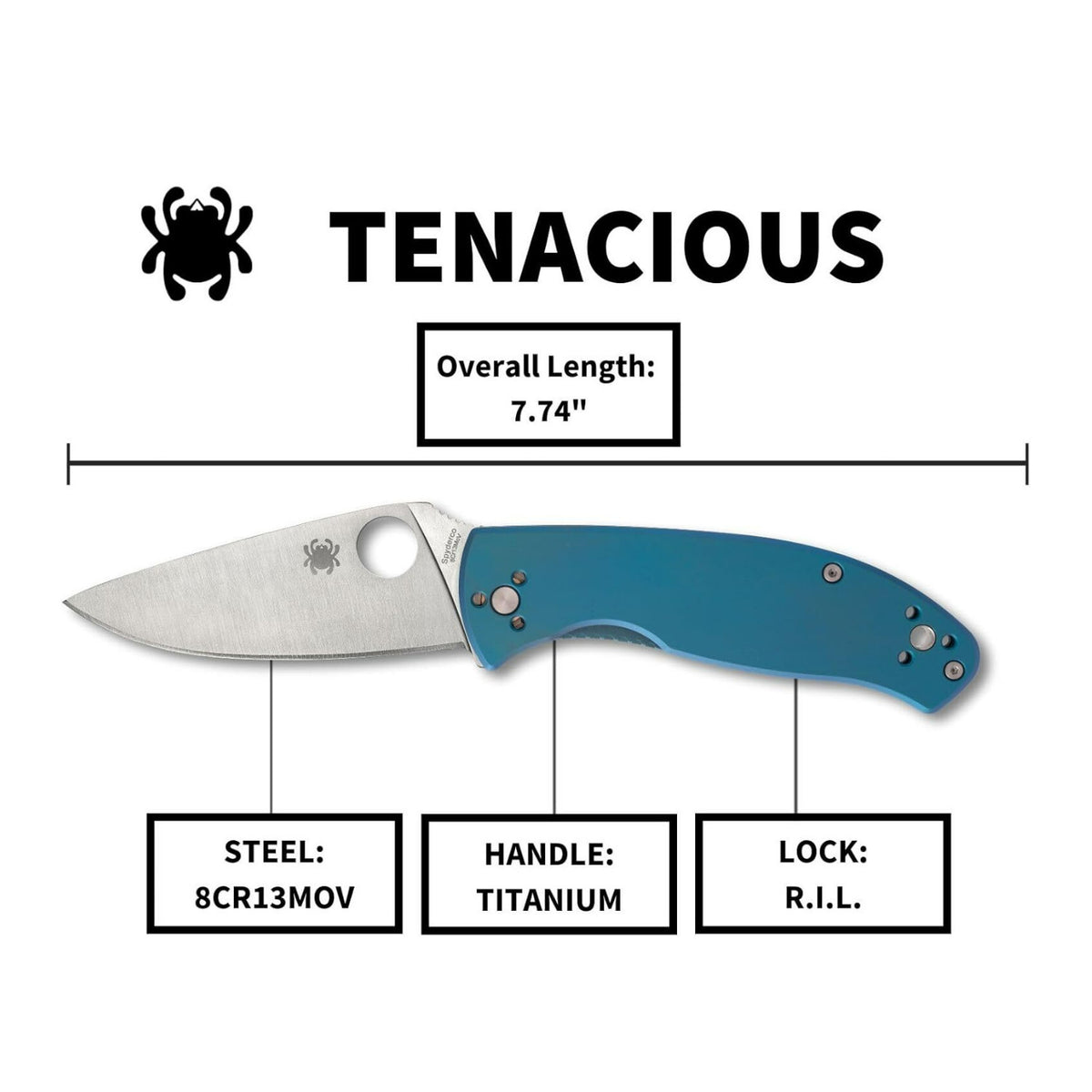 Spyderco Tenacious PlainEdge Folding Pocket Knife with 3.35 Inch 8Cr13MoV Blade (Open Box)