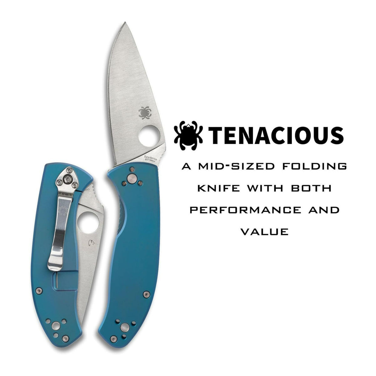 Spyderco Tenacious PlainEdge Folding Pocket Knife with 3.35 Inch 8Cr13MoV Blade (Open Box)