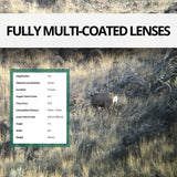 Vortex Diamondback HD 15x56 Binoculars with Basic Smartphone Adapter and Black Camo Hat Bundle