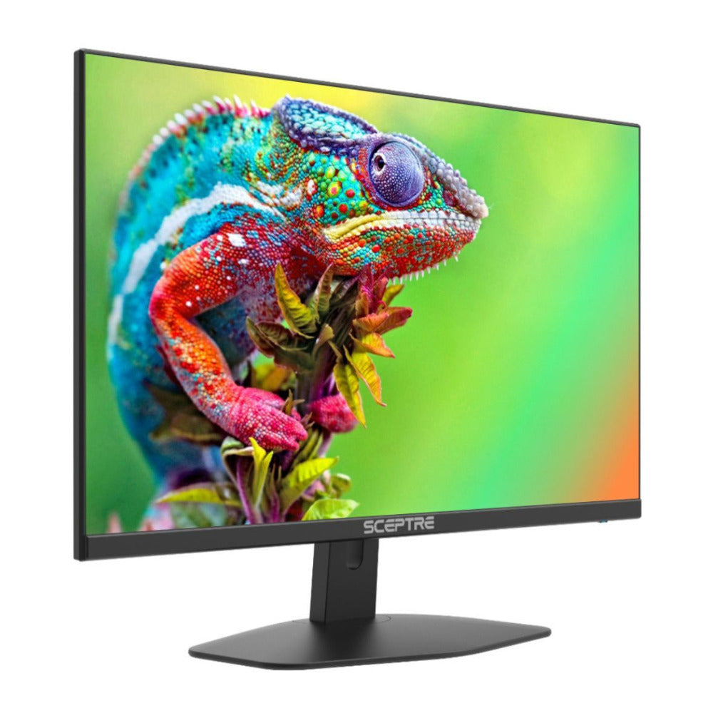 Sceptre E248W-FW100T 24-Inch Full HD 100Hz LED Gaming Monitor with AMD FreeSync (Black)