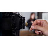 Panasonic X2100 4K 60p Portable Director's Camcorder with Two 128GB V60 UHS-II SD Card