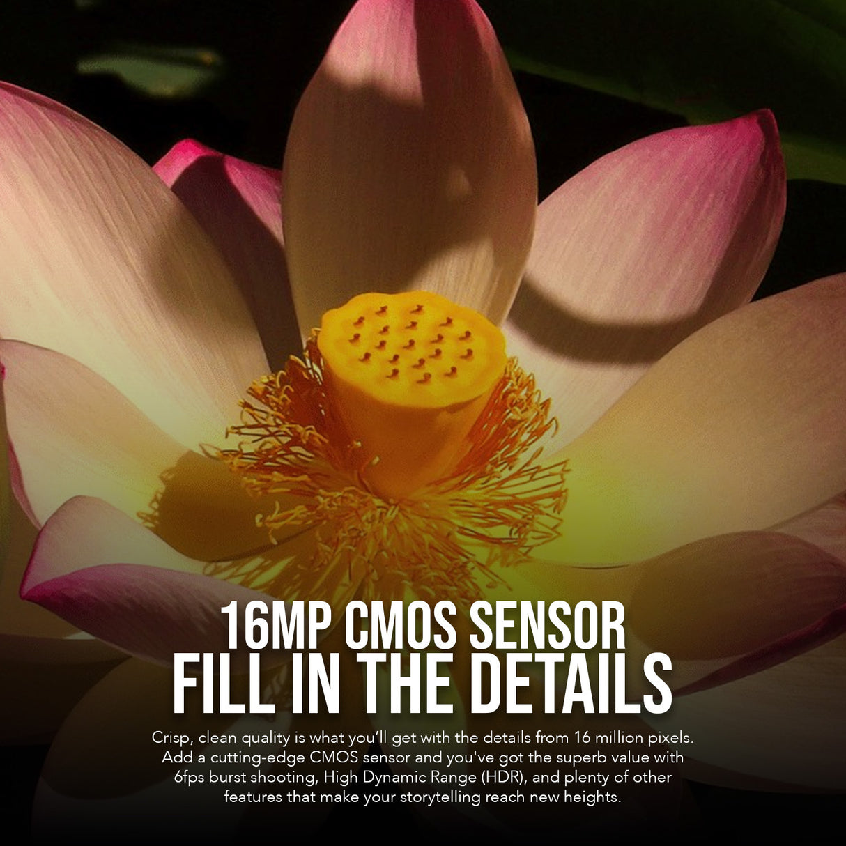 Kodak PIXPRO AZ528 16MP Astro and 52x Optical Zoom Digital Camera (Black) with 128GB SD Card Bundle