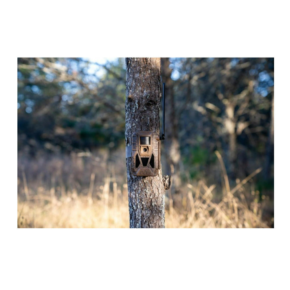 Muddy Matrix 2.0 Dual Network Brown Cellular Camera (10-Pack) with Ten 32GB SD Cards and Card Reader