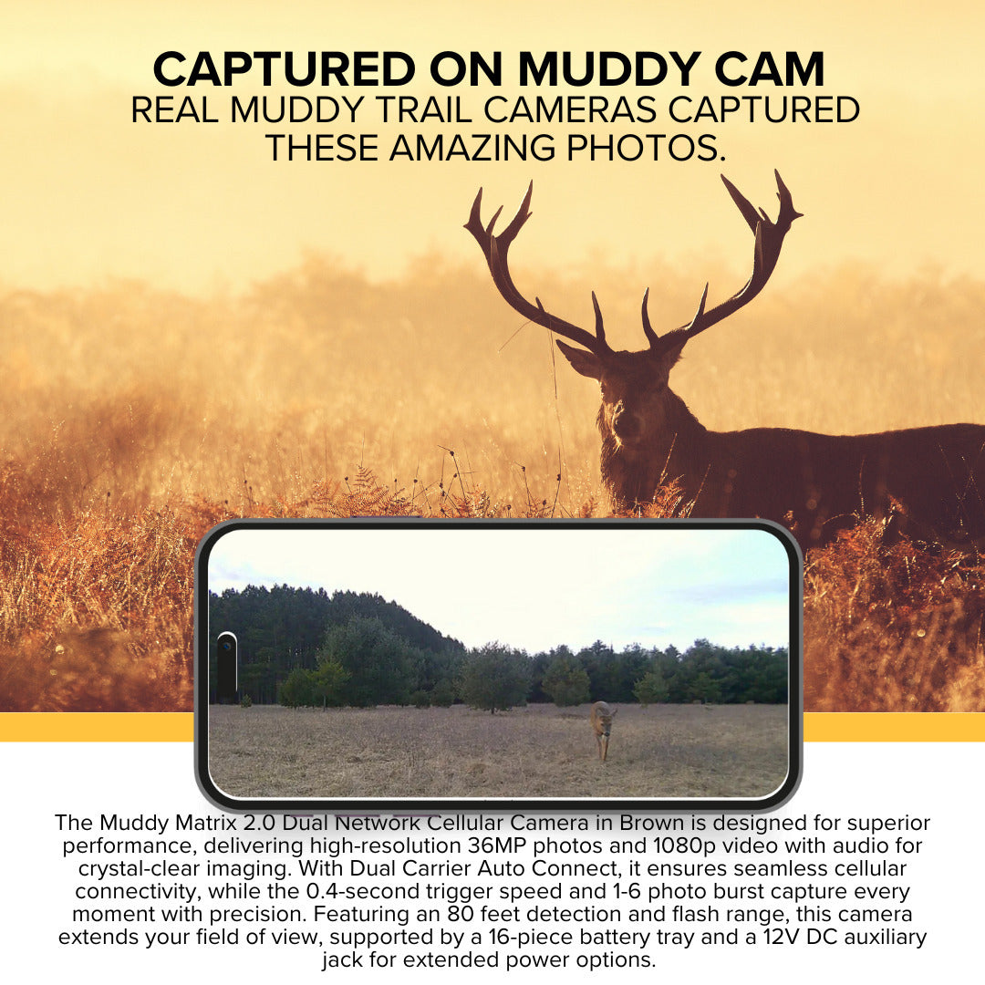 Muddy Matrix 2.0 Dual Network Cellular Camera (Brown, 6-Pack) with 6 x 32GB Memory Card Bundle