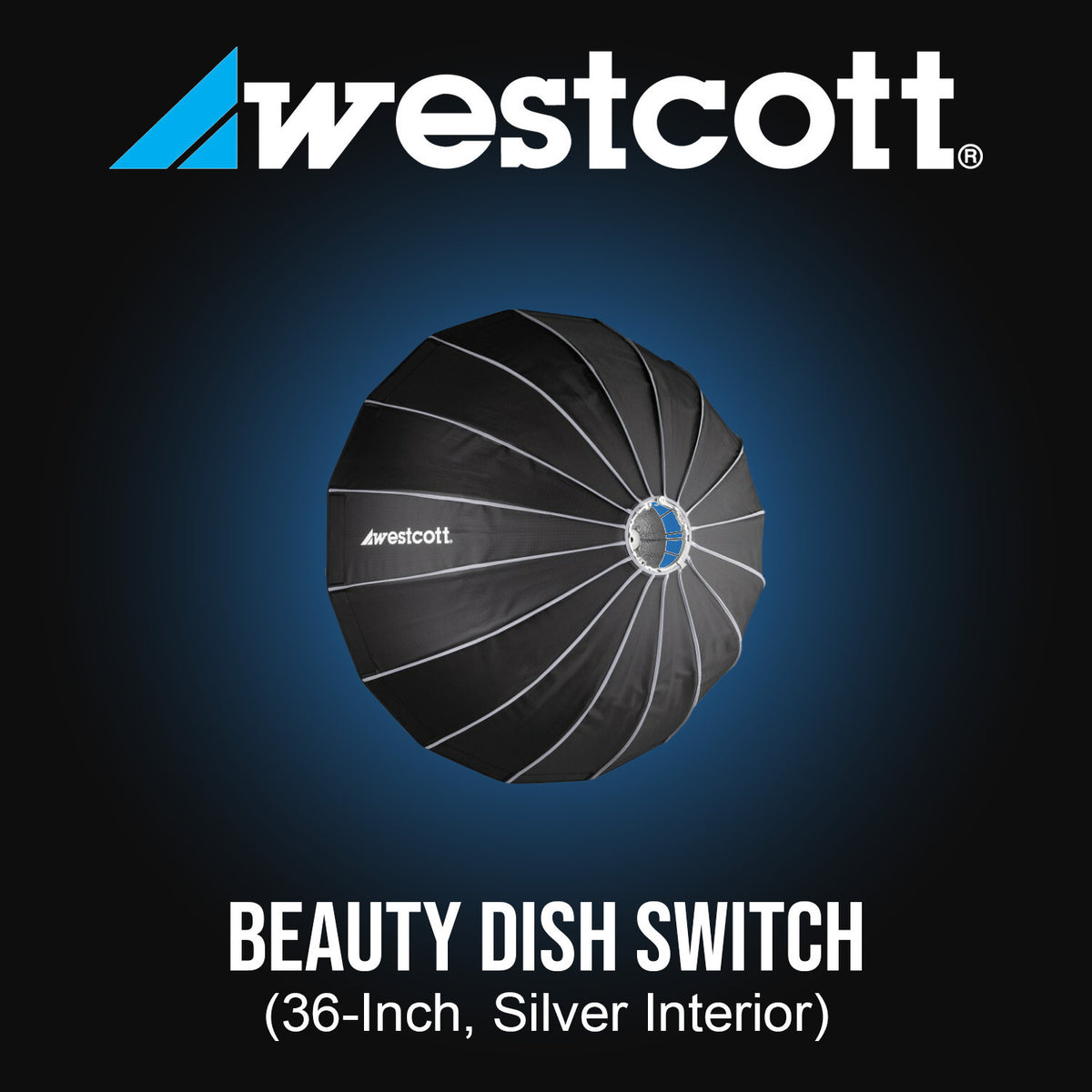 Westcott Beauty Dish Switch (36-Inch, Silver Interior) with 40-Degree Egg Crate Grid Bundle