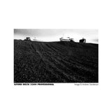 Ilford Delta 3200 Professional Black and White Negative Film (35mm Roll Film, 36 Exposures)