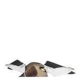Avian-X PowerFlight Mallard Realistic Motion Decoy for Hardcore Duck Hunters (Open Box)