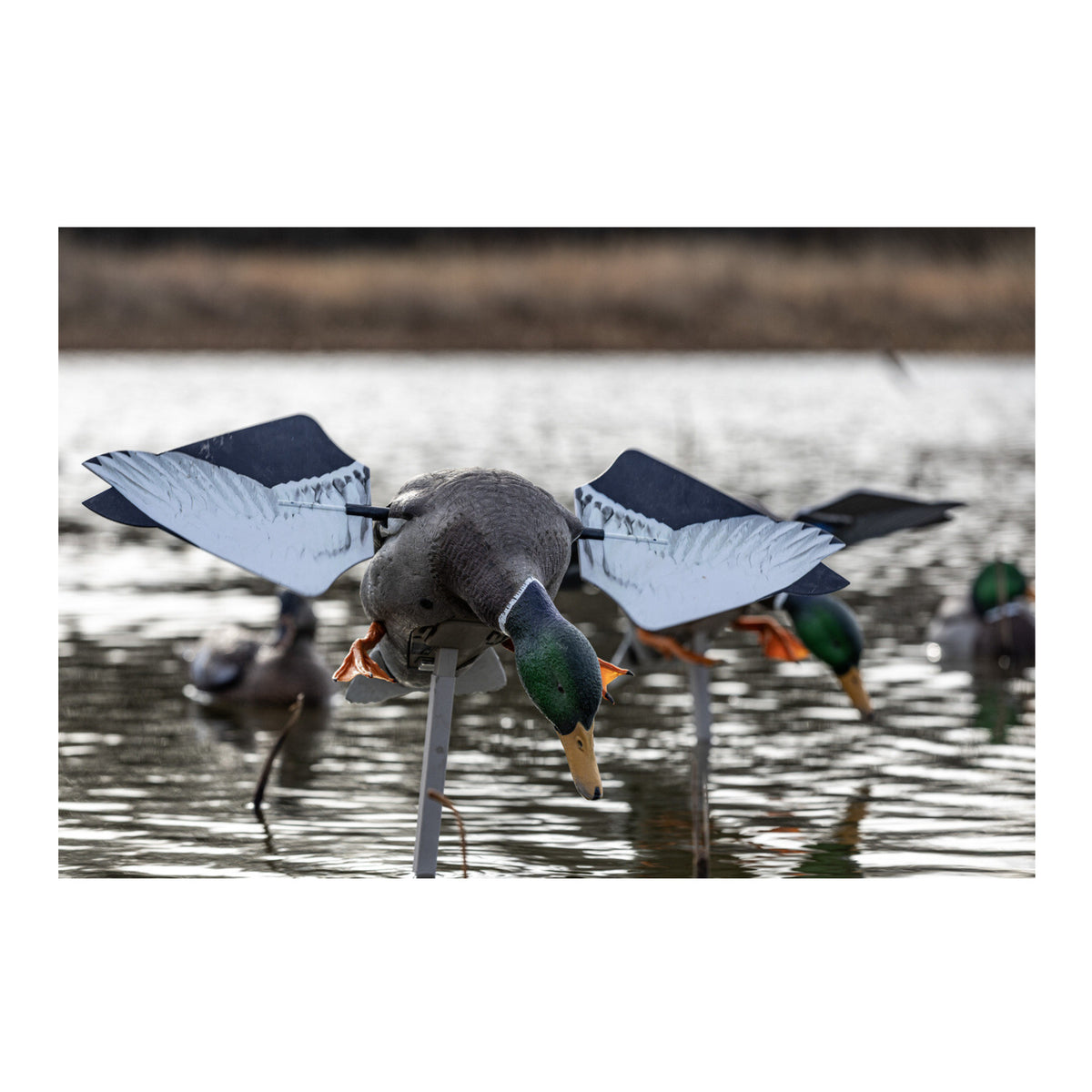 Avian-X PowerFlight Mallard Realistic Motion Decoy for Hardcore Duck Hunters (Open Box)