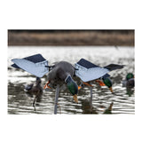 Avian-X PowerFlight Mallard Realistic Motion Decoy for Hardcore Duck Hunters (Open Box)