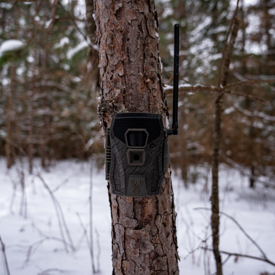 Wildgame Innovations Terra XT 2.0 24MP Cellular Camera (Gray, 2-Pack) with 2 x Memory Card Bundle