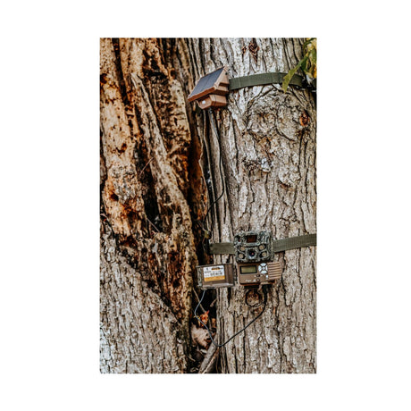 Browning Trail Camera Defender Wireless Pro Scout Max HD-DV (2-Pack) Bundle with Solar Power Pack - 5