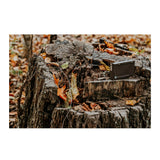 Browning Trail Cameras Rechargeable Li-Ion Battery Power Pack with USB-C Cable