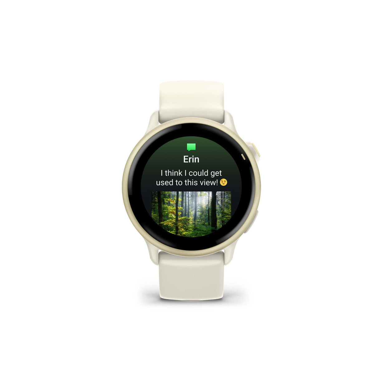 Garmin vivoactive 6 (Lunar Gold with Bone Band) Bundle with Portable Charger Stand and Car Charger