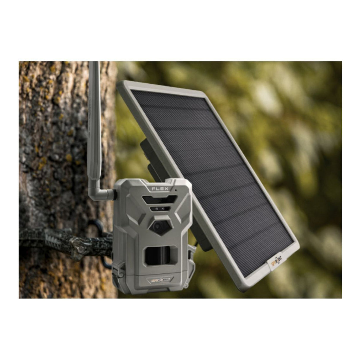 Spypoint Flex-Dark Trail Camera (2-pack) with 2 x 10W Battery 2 x Solar Panel 2 x 32GB SDCard Bundle