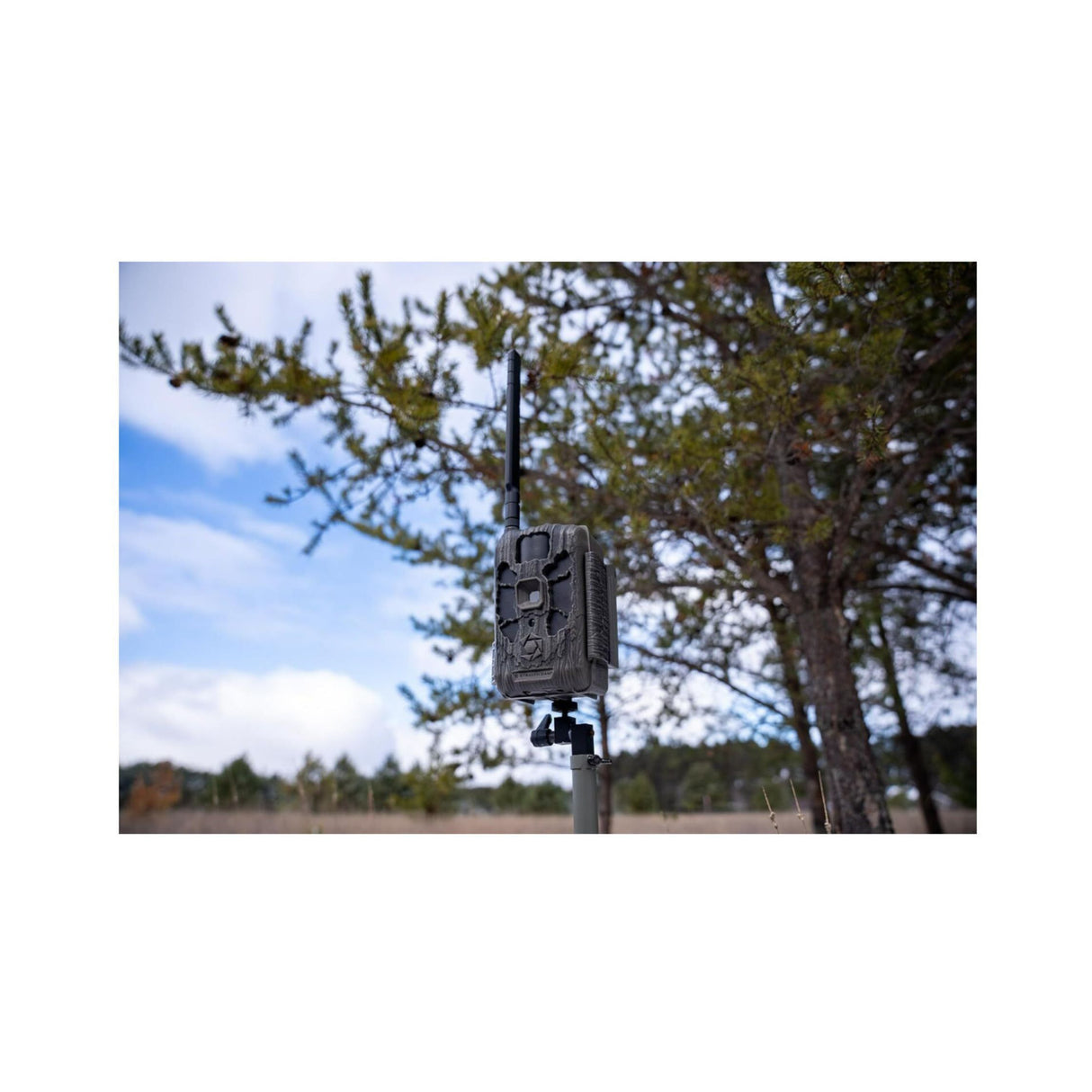 Stealth Cam DECEPTOR MAX 2.0 Trail Camera (Brown) Bundle with 32 GB Memory Card and Card Reader