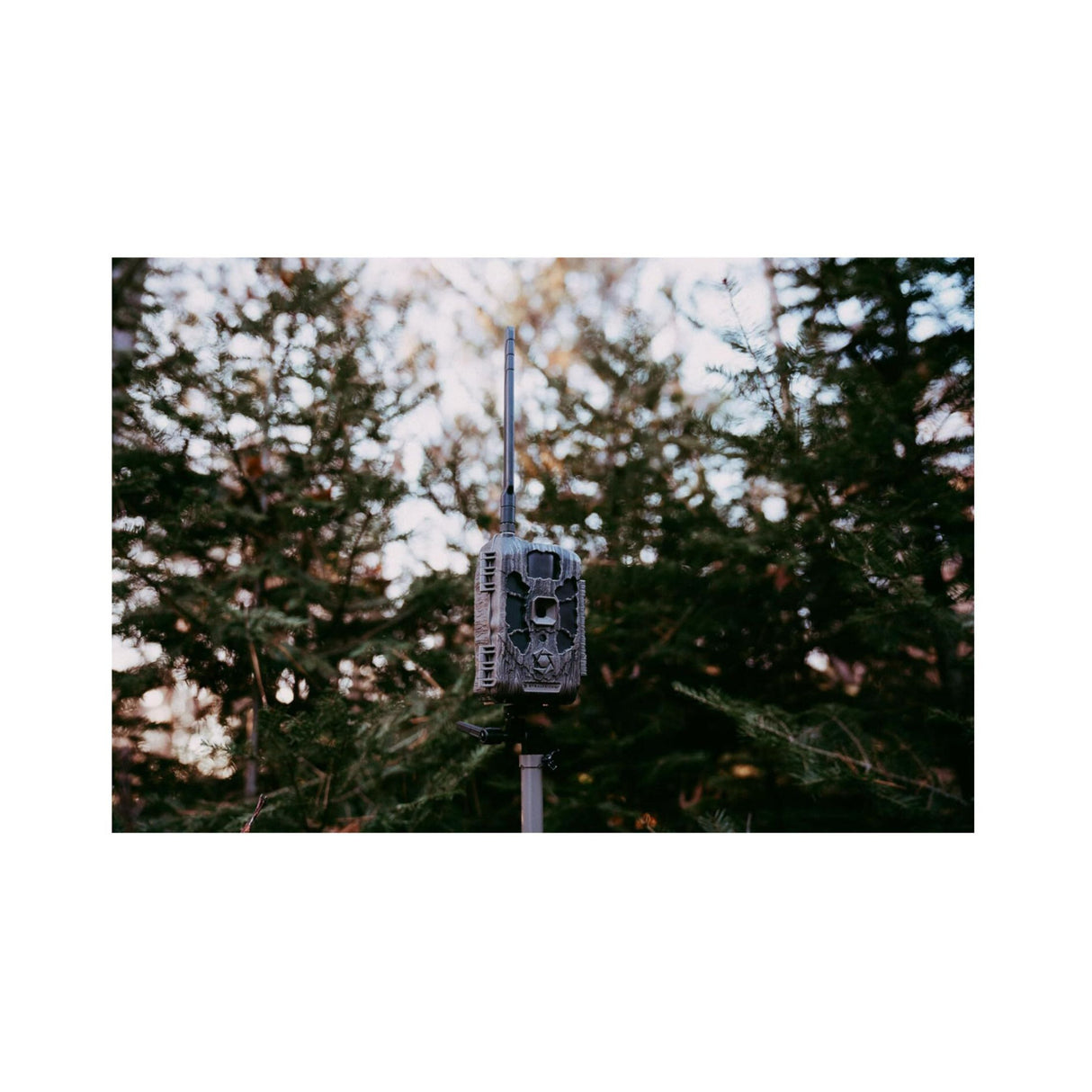 Stealth Cam DECEPTOR MAX 2.0 Trail Camera (Brown) Bundle with 32 GB Memory Card and Card Reader