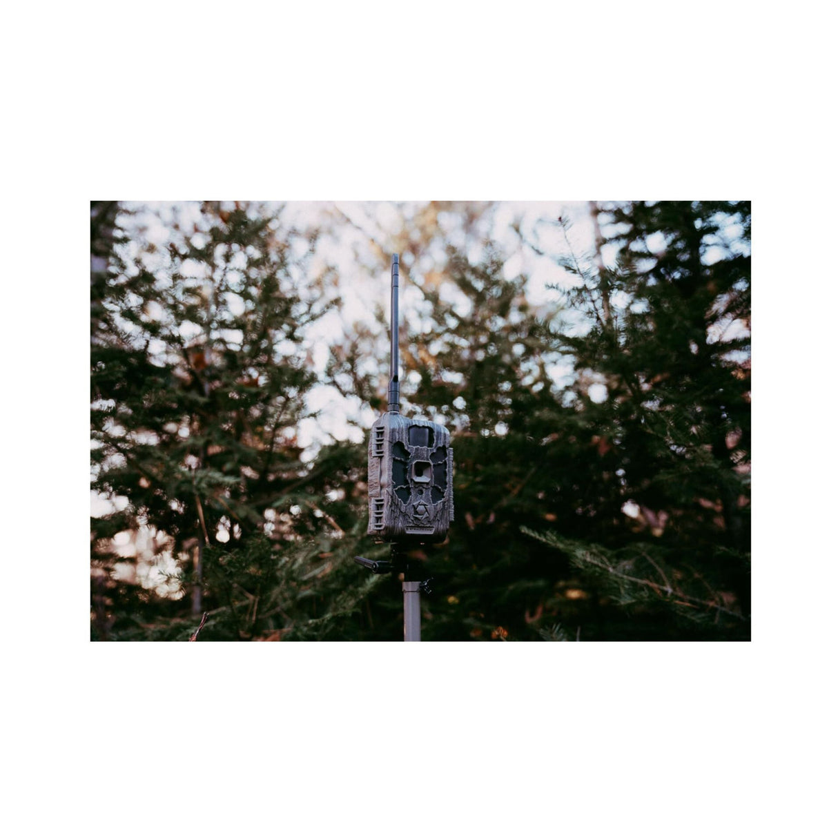 Stealth Cam DECEPTOR MAX 2.0 Trail Camera (Brown) with 32 GB Memory Card and Card Reader (2 Pack)
