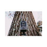 Stealth Cam DECEPTOR MAX 2.0 Trail Camera (Brown) with 32 GB Memory Card and Card Reader (4 Pack)