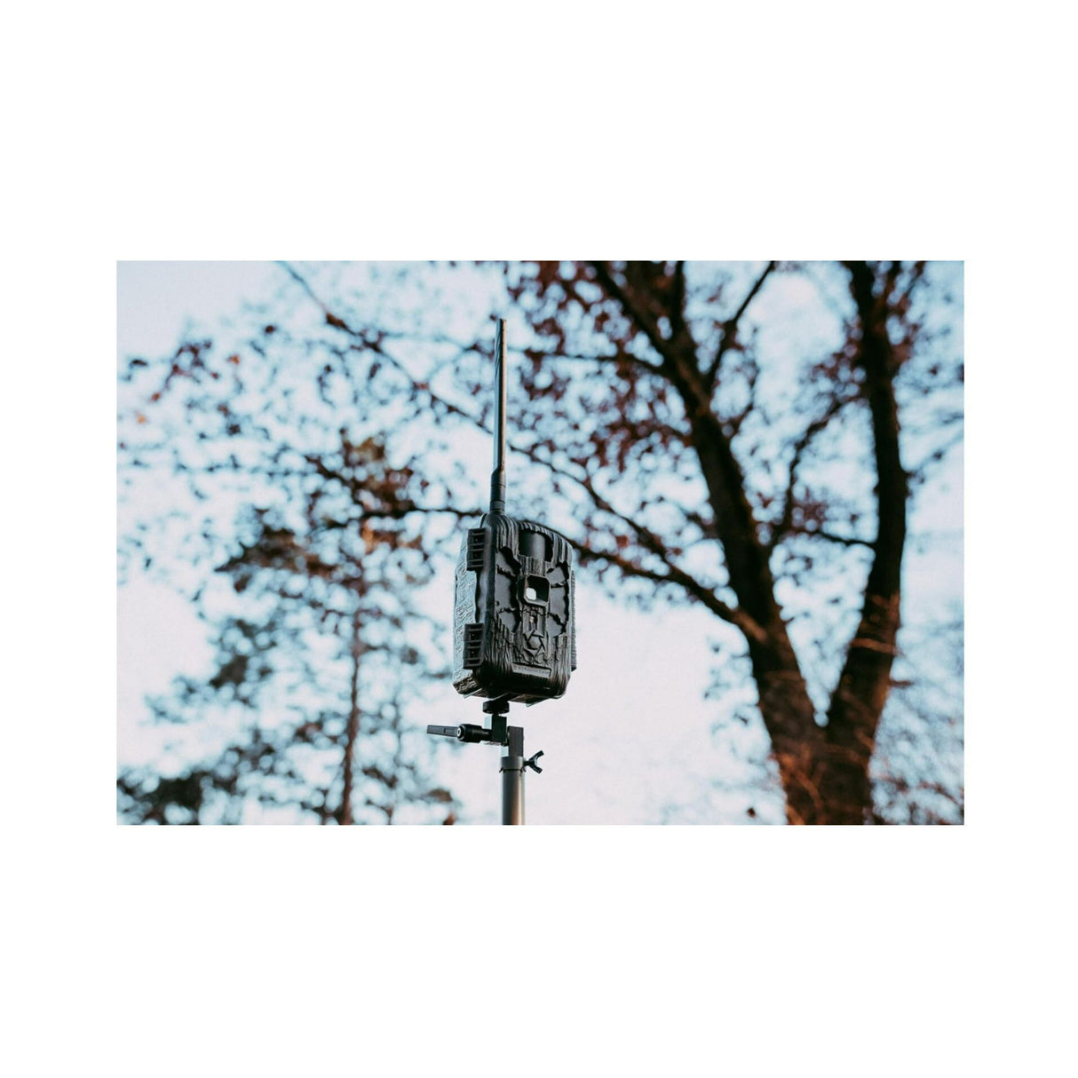 Stealth Cam DECEPTOR MAX 2.0 Trail Camera (Brown) with 32 GB Memory Card and Card Reader (4 Pack)