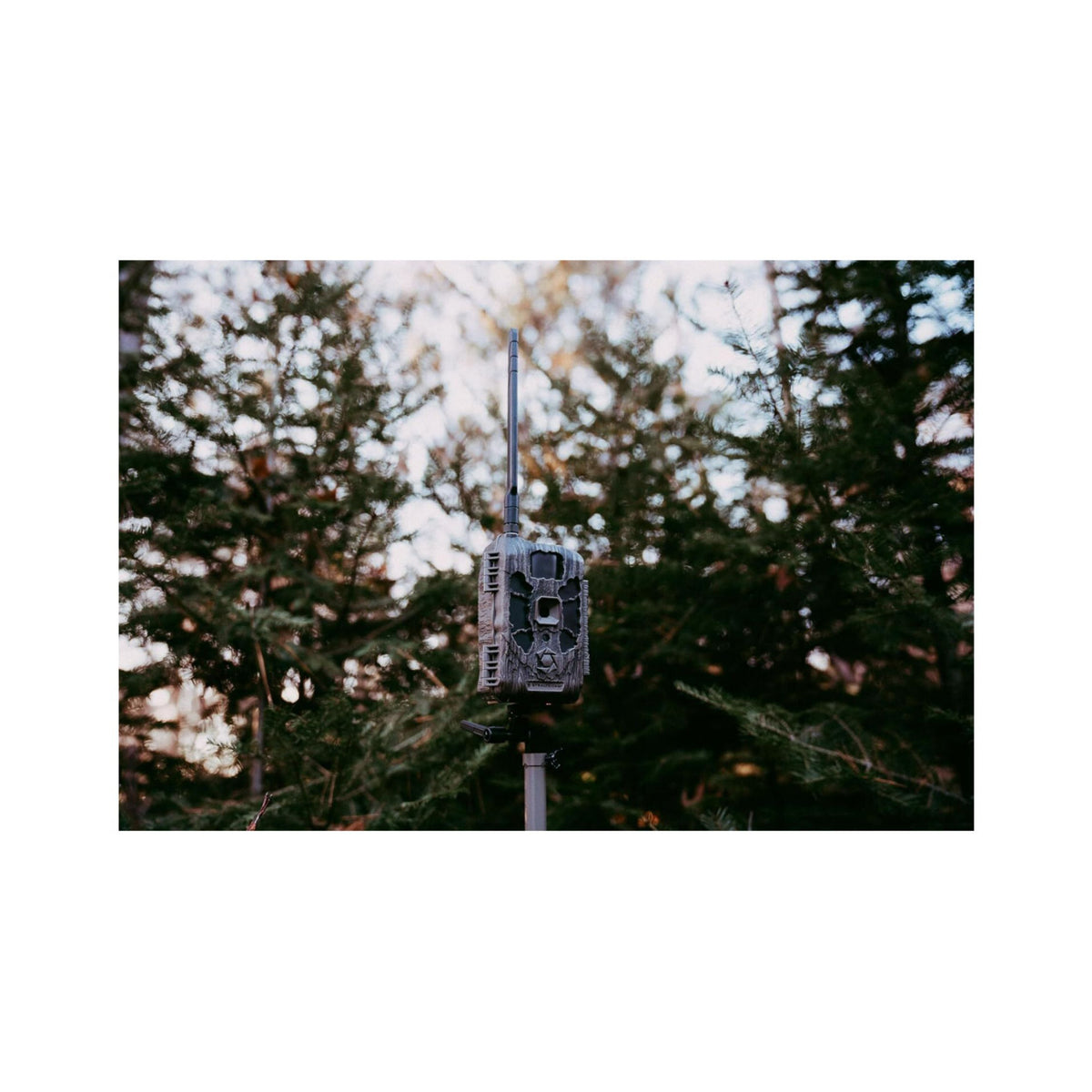 Stealth Cam DECEPTOR MAX 2.0 Trail Camera (Brown) with 32 GB Memory Card and Card Reader (4 Pack)