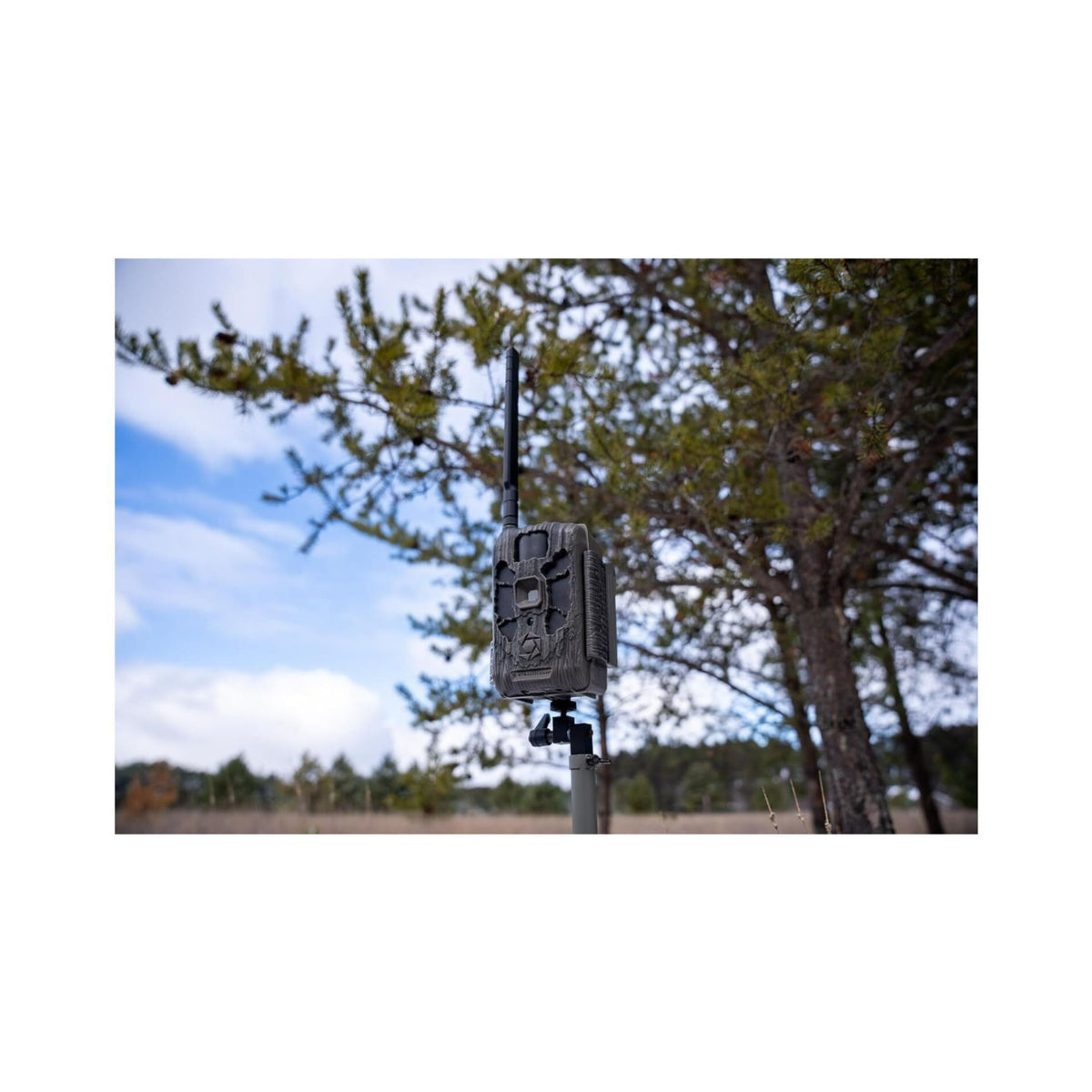 Stealth Cam DECEPTOR MAX 2.0 Trail Camera (Brown) with 32 GB Memory Card and Card Reader (4 Pack)