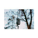 Stealth Cam DECEPTOR MAX 2.0 Trail Camera (Brown) with 32 GB Memory Card and Card Reader (10 Pack)