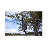 Stealth Cam DECEPTOR MAX 2.0 Trail Camera (Brown) with 32 GB Memory Card and Card Reader (10 Pack)