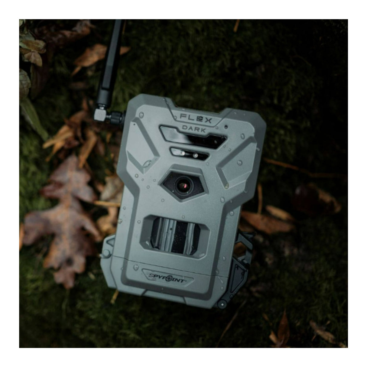 SPYPOINT FLEX DARK GPS Cellular Trail Camera with Battery Pack 32GB Card  (Gray, 2-Pack)