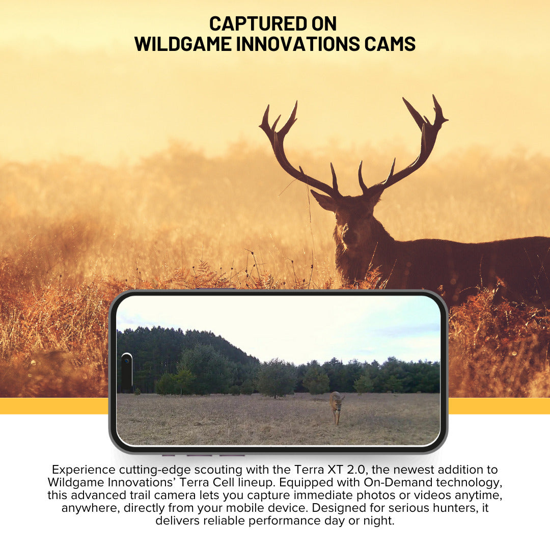 Wildgame Innovations Terra XT 2.0 24MP Three Cellular Trail Cameras (4-Pack) with Memory Card Bundle