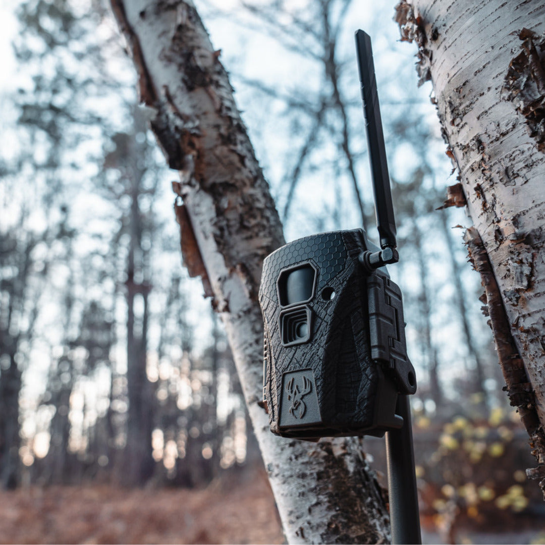 Wildgame Innovations Terra XT 2.0 24MP Three Cellular Trail Cameras (2-Pack) with Memory Card Bundle