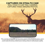 Stealth Cam Browtine 18MP Digital Trail Camera Bundle with 16GB SD Card and Focus Card Reader
