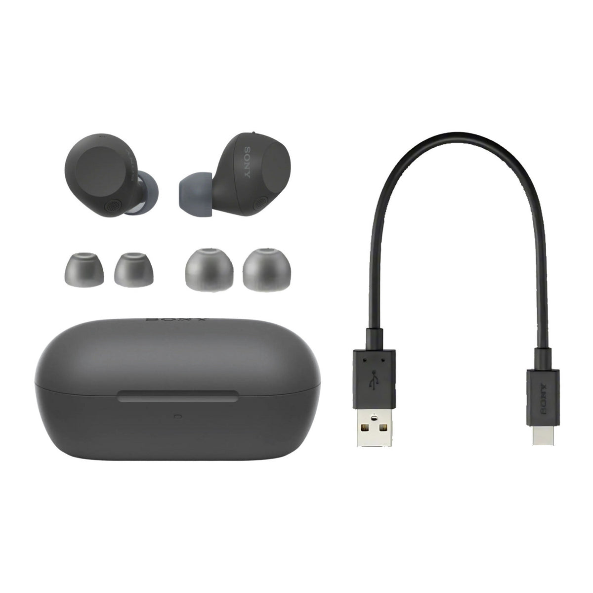 Sony Wireless Noise-Cancelling Earbuds (Black) Bundle with Ear Tips (2 Items)