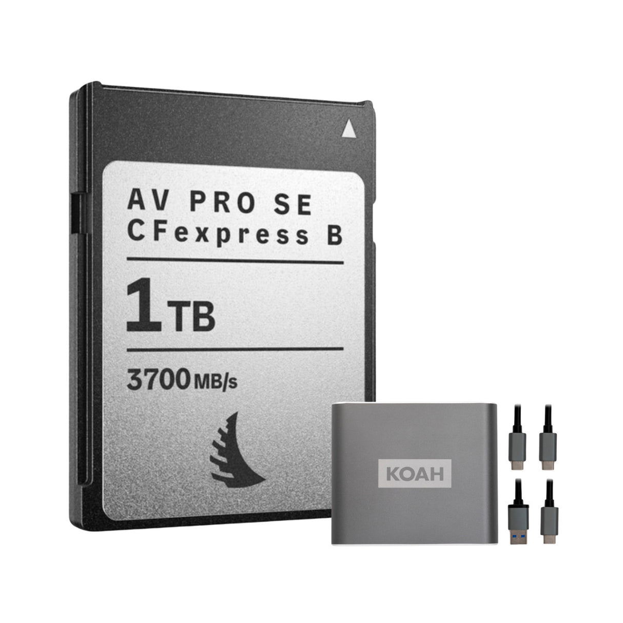 Angelbird AV PRO SE 1TB High-Speed Memory Card Bundle with Reader (2 Items)