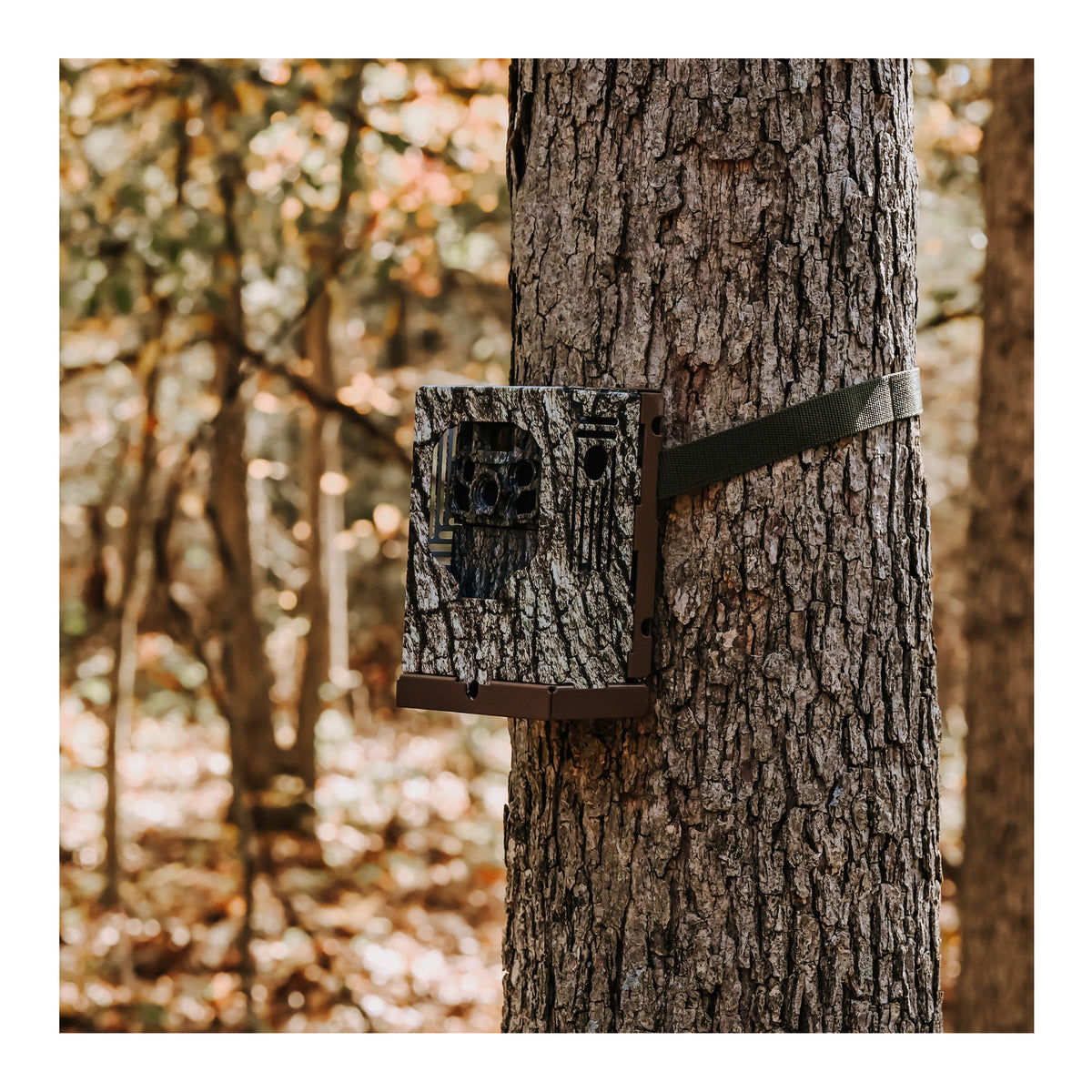 Browning Trail Cameras - Dark Ops FHDR40 with 32GB Memory Card and Card Reader