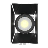 Aputure STORM 80c Continuous Light Fixture with Accessories Bundle