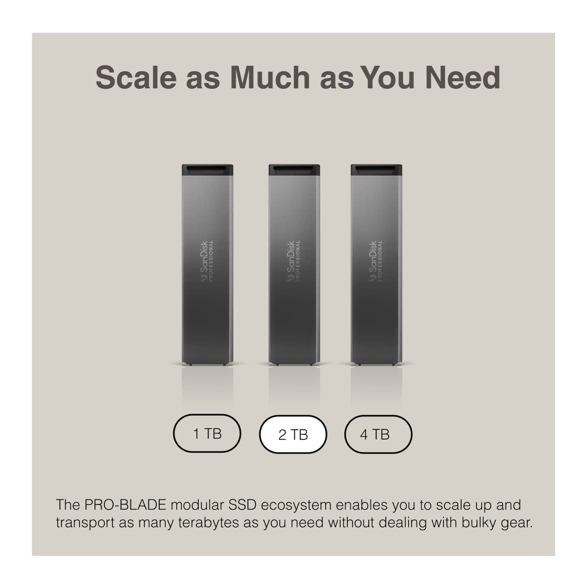 Sandisk Professional 2 TB Pro-Blade SSD MAG NvME with Pro-Blade Transport (0 TB)