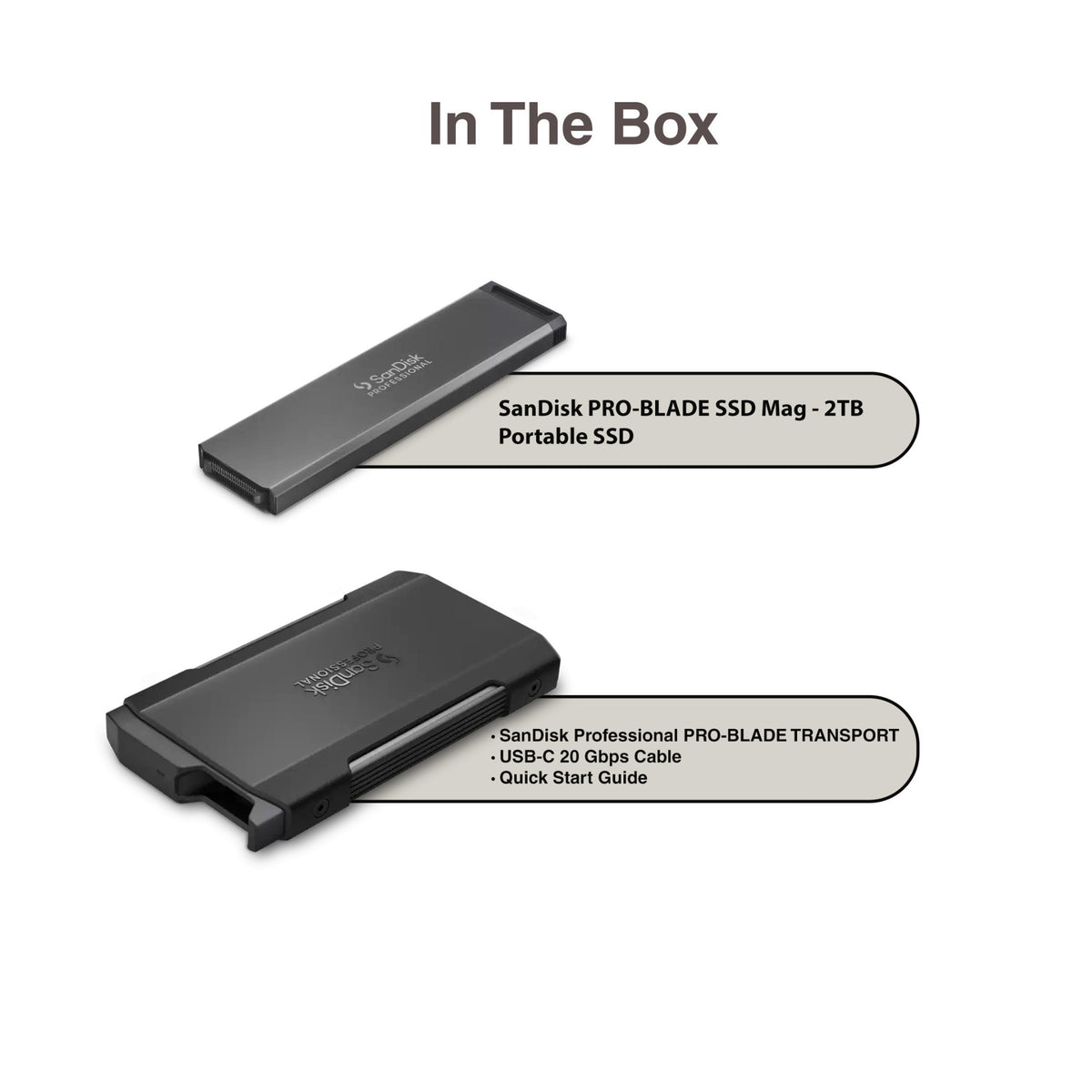 Sandisk Professional 2 TB Pro-Blade SSD MAG NvME with Pro-Blade Transport (0 TB)