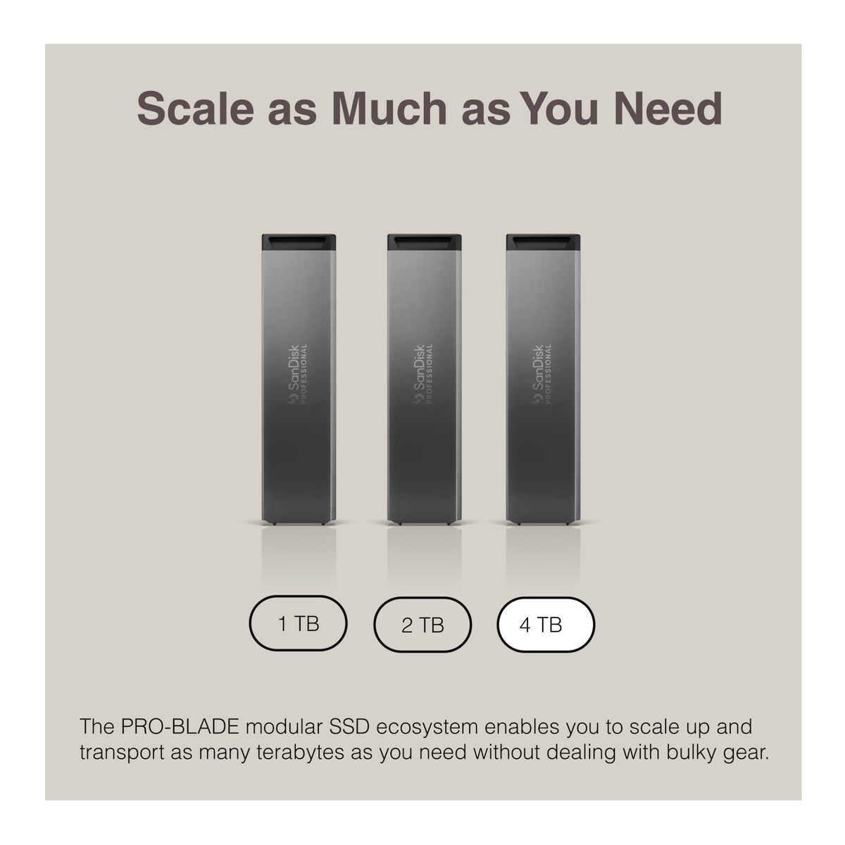 Sandisk Professional 4 TB Pro-Blade SSD MAG NvME with Pro-Blade Transport (0 TB)
