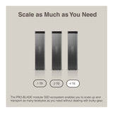 Sandisk Professional 4 TB Pro-Blade SSD MAG NvME with Pro-Blade Transport (0 TB)