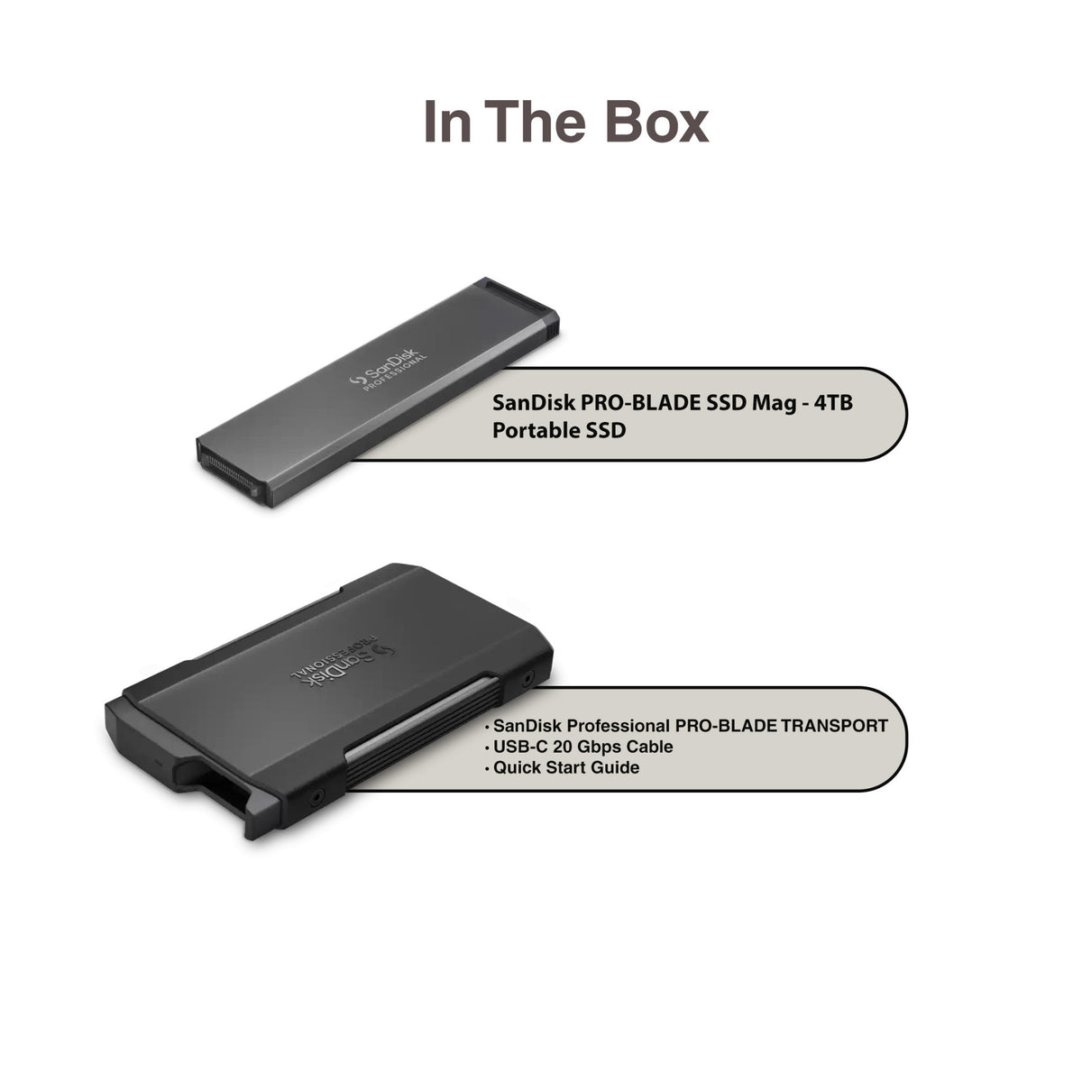 Sandisk Professional 4 TB Pro-Blade SSD MAG NvME with Pro-Blade Transport (0 TB)