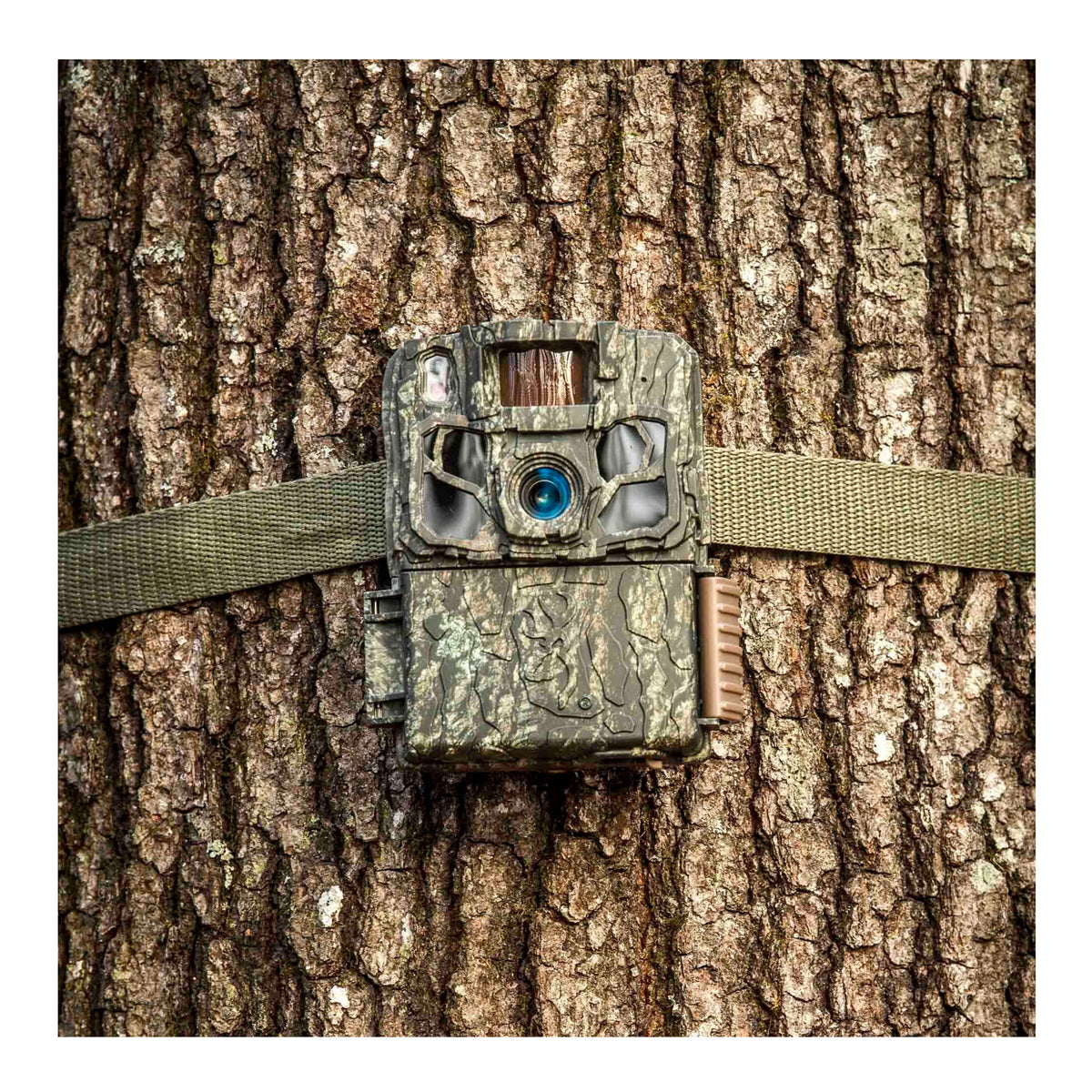Browning Trail Cameras - Dark Ops FHDR 40MP Bundle (2-Pack)