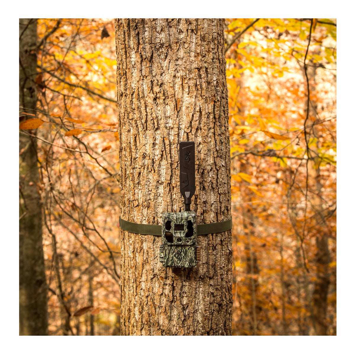 Browning Trail Camera - Defender Wireless Pro Scout Max HD AI 46MP (2-Pack)
